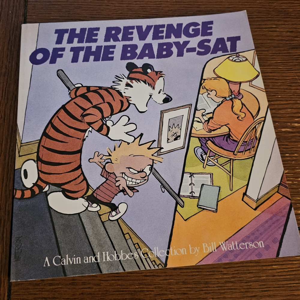 The Revenge of the Baby-Sat Book